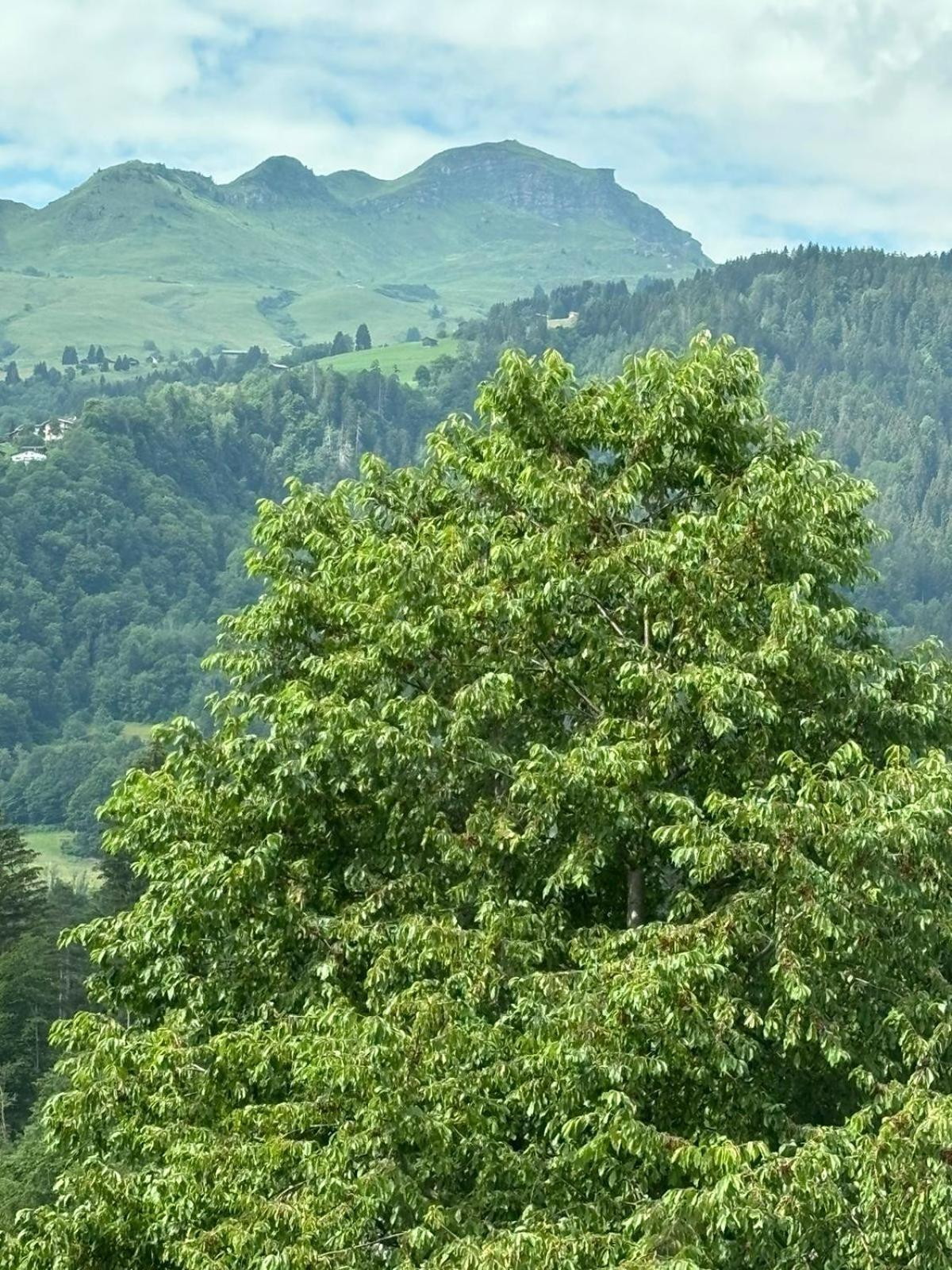 Landgasthof Zum Glenner Ilanz/Glion Exteriör bild